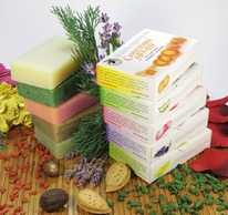 ���� ����������� ������ ������ �������� ��������