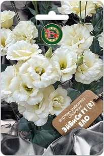 ������� ��������� ������ F1 (2) ���