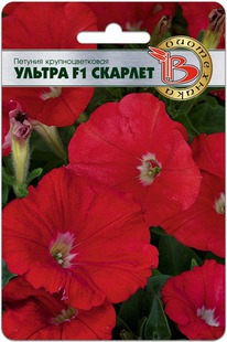 ������� ��������������� ������ F1 �������