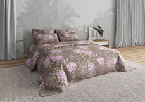 ������� ���������� ����� �� ���� ������� ��������