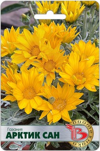 ������� ������ ���