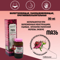 ���� ���������� 