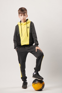 ���������� ������ �-1115: �������� / ׸���� / �����