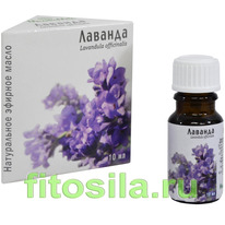 ������� ����� 10 ��, 