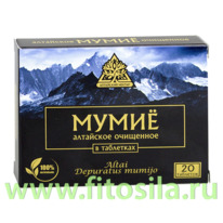 ����� ��������� - ���, ������� � 20 ����. � 0,2 �, �. �. 