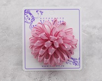 ������� ��� ����� F24937120749