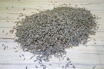 ���� (�����), 100 ��