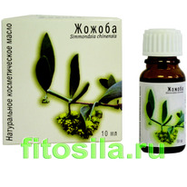 ������ ������������� ����� 10 ��, 