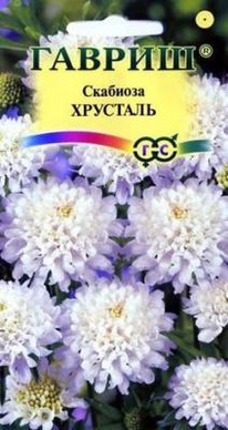 �������� �������� ���������