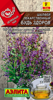 ������ ���� ������ �������������