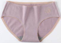 ������� A02667240