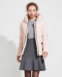 ������ PEL 6539