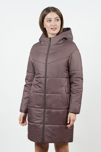 ���������� ����