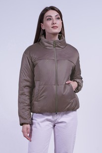 ������ ����