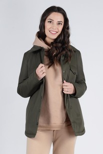 ������ ����