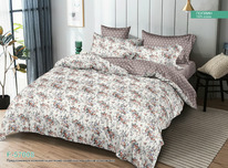 ������� ���������� ����� �� ������� (�������� �� ������� ) - ����������� (57008)