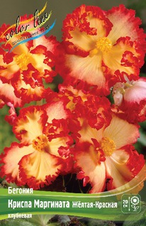 ������� ������ ��������� ������-�������, 5/6