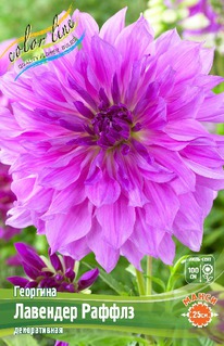 �������� �������� ������, �-� I, ����� �����.