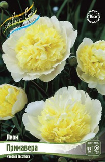 ���� ���������, 3/5 n