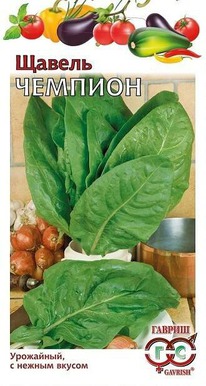 ������ �������