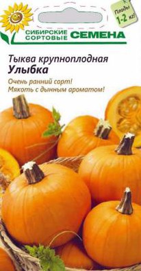 ������ �����