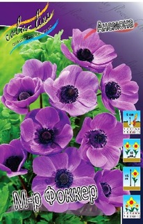 ������� �-� ������