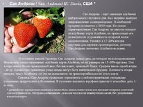 ��������� ��� �������