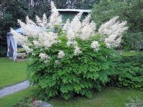 �������� ��������