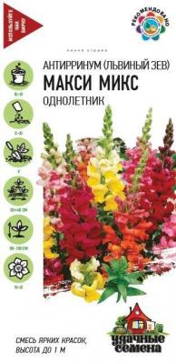 ����� ���� ������� ���