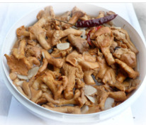 ������� ������ ������ (�����, 6-9��)