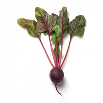 ������ ������ ������ : 3�� Rijk Zwaan