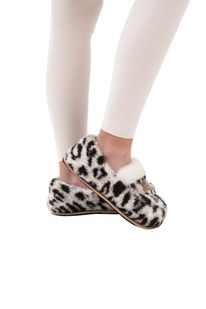 ������� ������ ���� ������