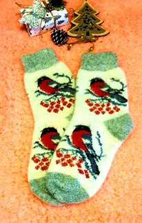 ����� ������� �������,���� �����������