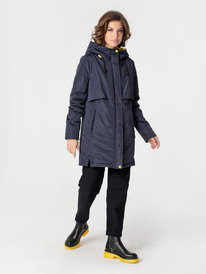 �����  23337 : ����������