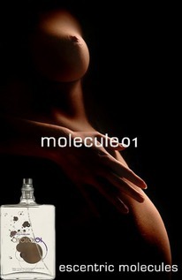 405 -  : MOLECULE 01 (Escentric Molecules,Geza Shoen)