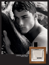 211 -  : He Wood (Dsquared)