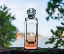 Hermes Un Jardin sur la Lagune  25%  31.05