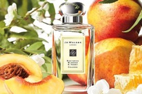 JO MALONE LONDON Nectarine Blossom & Honey Cologne  25%  31.05