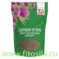 ���� ���������� 100 � ��� ������