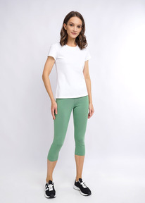 Clever   CLE LL001 .