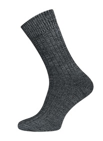       ARCTIC 2431 142431 . 12 (