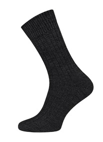       ARCTIC 2431 142431  12 (