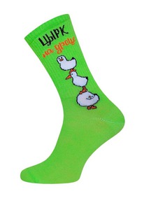     4201 SOXY 214201 . 137 (, 