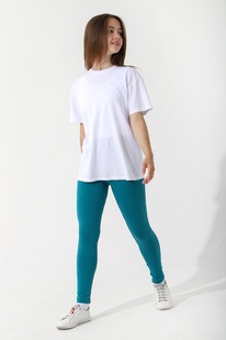 �����  ����� ��� ������� ������� �2 ��-008 �������