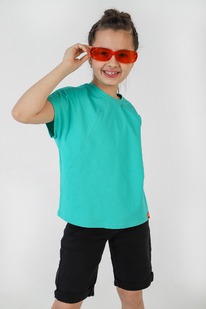 �����  ������� (��������) ��� ������� ������-1 ��-010 ����������