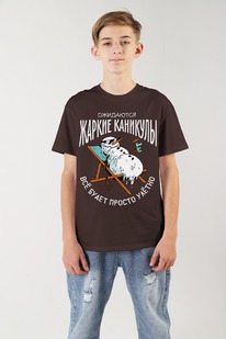 Фуфайка (футболка) для мальчика Карнавал-2 ФМ-031 ШОКОЛАДНЫЙ Фуфайка (футболка) для мальчика Карнавал-2 ФМ-031 ШОКОЛАДНЫЙ