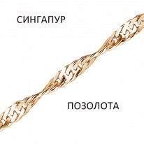 ���� �������� ���������