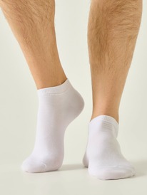 Conte CONTE   () 24-149 24-149  000