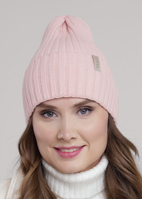 Clever   CLE 453801 .