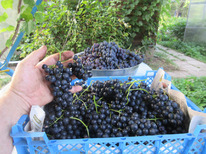 �������� ��������� �������